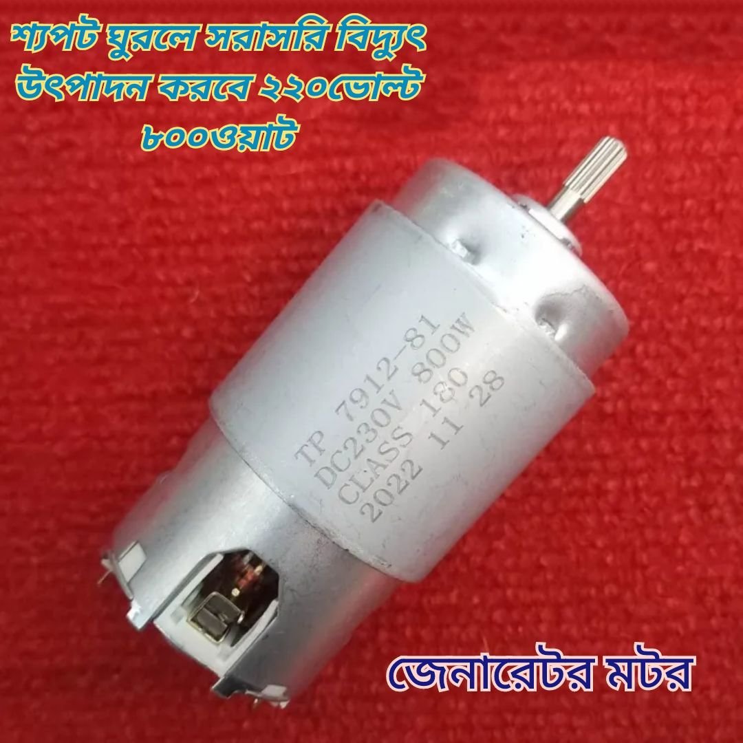 800W Generator Motor TP 7912-81 800W DC 220V 230V Class 180 Dynamo Generator Motor With D25XB80 25A Bridge Rectifier 220V DC Generator Motor 800W For Mini Fans LED Lights Use 775 Motor